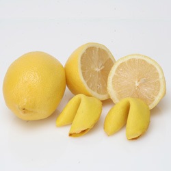 [lemon-fortune-cookies[3].jpg]