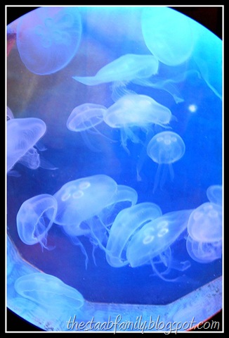 [Road Trip Day 1 115_picnik[6].jpg]
