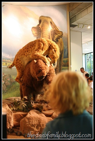 [Road Trip Day 1 105_picnik[2].jpg]