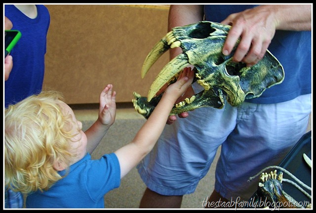 [Road Trip Day 1 096_picnik[2].jpg]