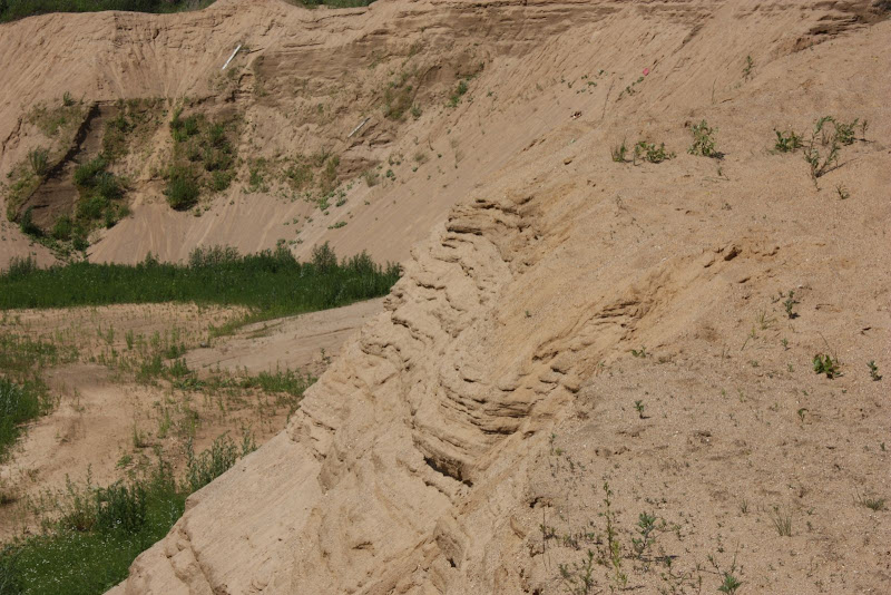 Подмосковная пустыня - карьер в Сычево.