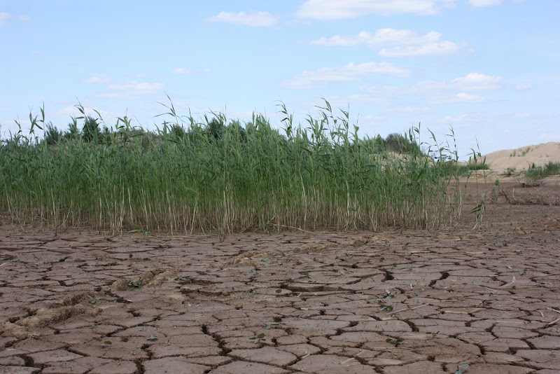 Подмосковная пустыня - карьер в Сычево.