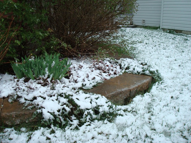 [april 2010 snow 003[4].jpg]