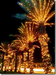 Christmas-Lights-Miami
