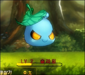 GrandChase20100429_123620.jpg