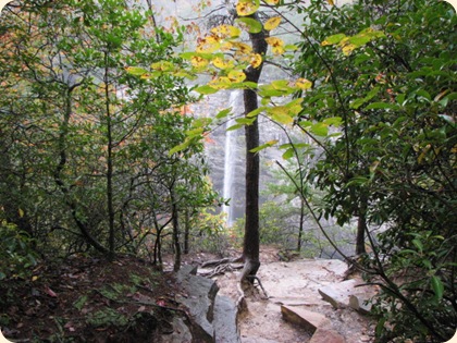 Fall Creek Falls SP 073