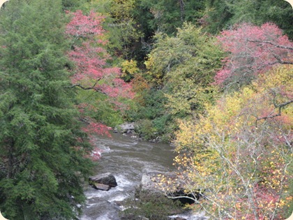 Fall Creek Falls SP 195