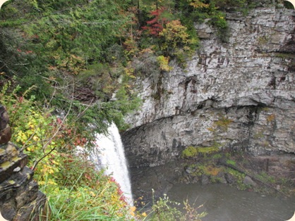 Fall Creek Falls SP 197