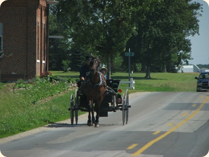 Berne, IN Amish 005