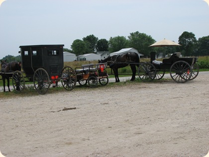 Montgomery, IN Amish 026