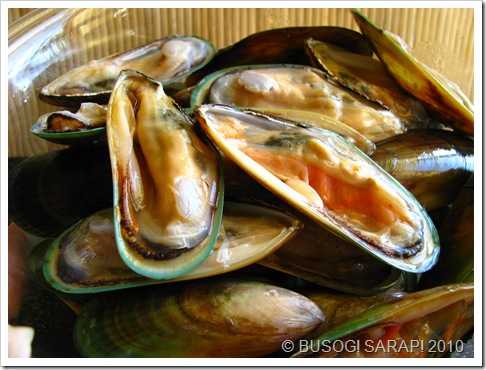 Recipes using shelled cooked mussel meat
