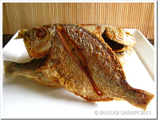 BUSOG! SARAP! PRITONG ISDA (FRIED FISH)