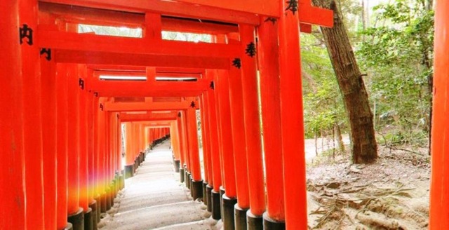 [Fushimi Inari Shrine01[5].jpg]