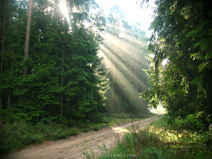 Голосование за лучшую фотографию уходящего лета!