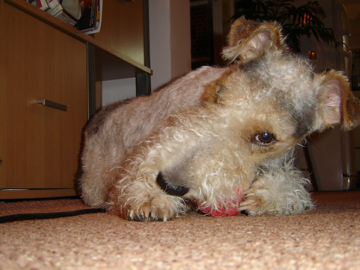 Picture%20045.jpg
