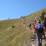 https://goo.gl/photos/MBbhkJaU8ZP8wV7j9