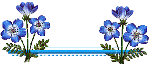 zx.gif
