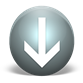 NicheQ Report Download