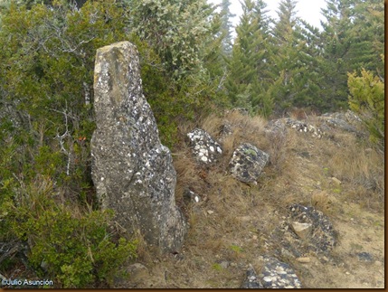 Menhir 3 - ruta dólmenes de Artajona