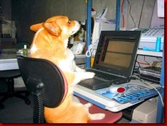 dog-checking-email-300x225