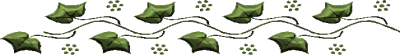 ivy_bar34.png