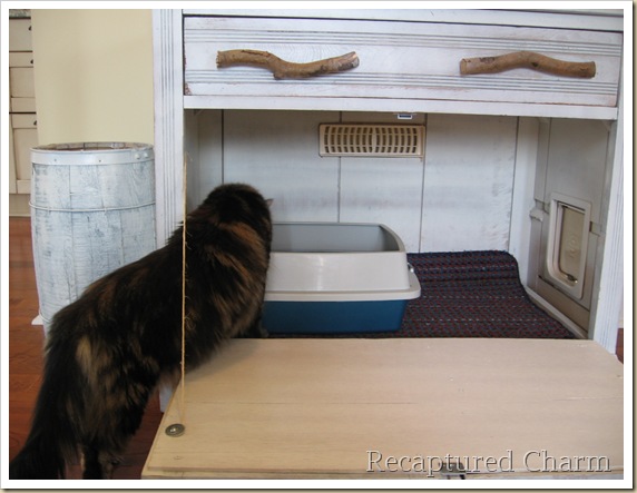 Old Cabiinet to litterbox 043