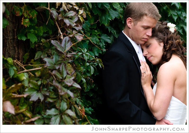 Wedding photography at Germanic American Institute in St Paul, MN