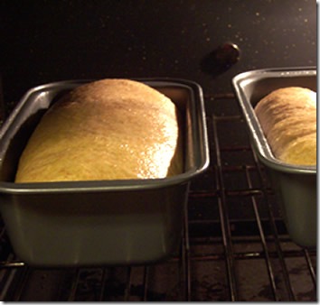 BBA-whole-wheat-bread 031