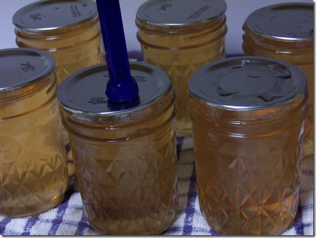 apple-jelly-and-sauce 021