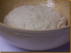 basic-savory-bread-dough 008