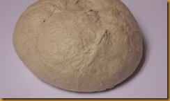 basic-savory-bread-dough 009