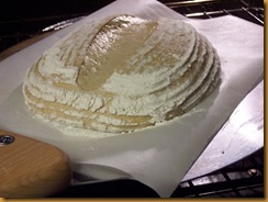 basic-savory-bread-dough 021