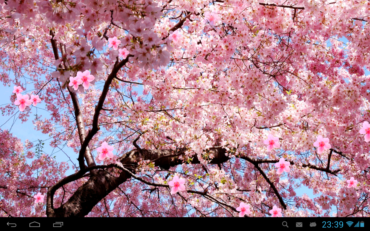 Sakura Live Wallpaper HD - Android Apps on Google Play