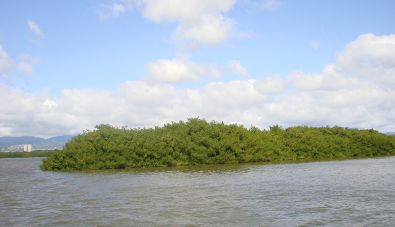 20100518_01.jpg