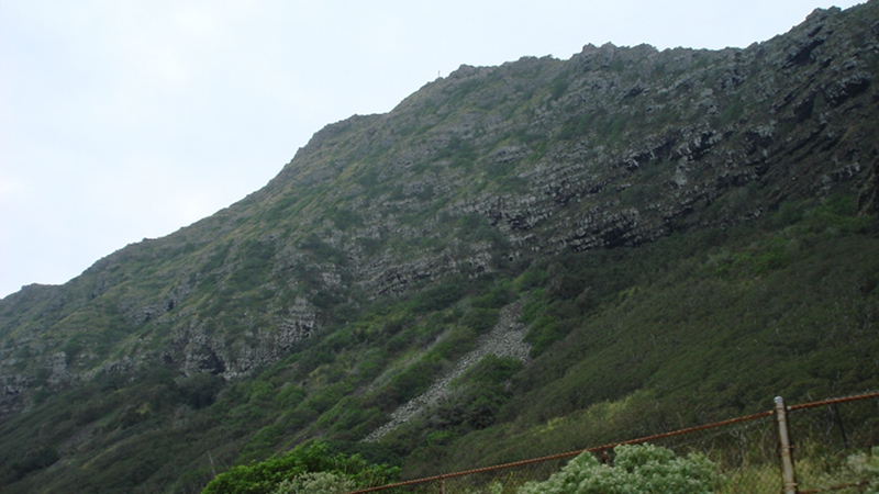 20100618_01.jpg