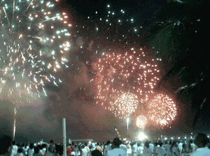 feliz-ano-novo-2010.png