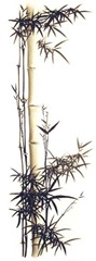 bamboo stalk