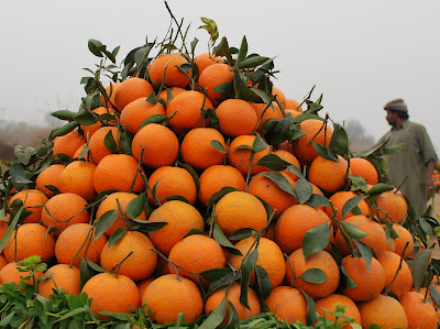 A vendor selling freshly picked oranges near the Pakistani town of Bhalwal