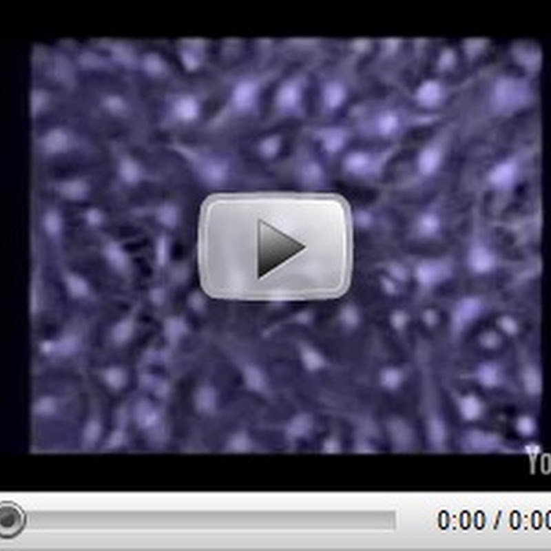 Brain Animations Set to Music (Video) Very Relaxing