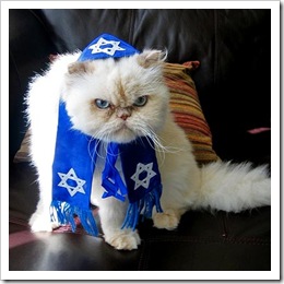 cat_rabbi
