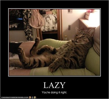 funny-pictures-cat-is-very-lazy