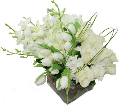 flores46.jpg