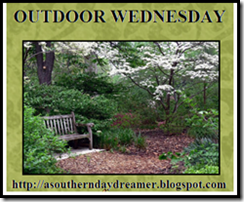 Outdoor Wednesday logo[4]