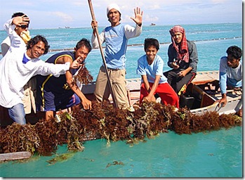 Youth trainees visit their seaweed farms during a practical examination