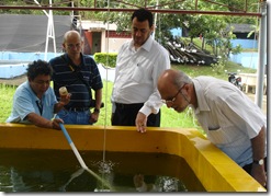 AQD's Ms. Bernardita Eullaran shows off the milkfish larvae raised at AQD’s integrated hatchery to Dr. Felix Ayson, Dr. Anwar Eissa Al-Sunaiher and Mr. Baheej Mohammad Rasem