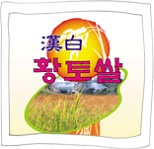 Chilgok Hanbaek Loess Rice