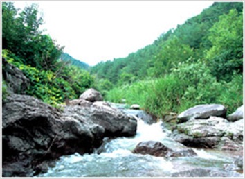 Yeongyang Suha Valley