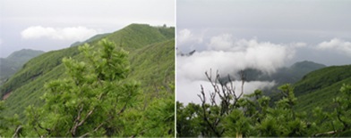 Ulleung Seonginbong Peak