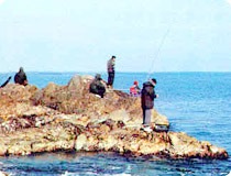 [Pohang Cheongjin-ri Fishing Ground[6].jpg]
