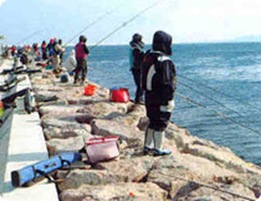 Pohang Offing Fishing Ground
